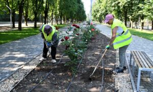 Ремонтують дороги, фарбують паркани і зупинки, прополюють клумби, косять траву: комунальники Нікополя не тільки усувають наслідки ворожих атак (фото)