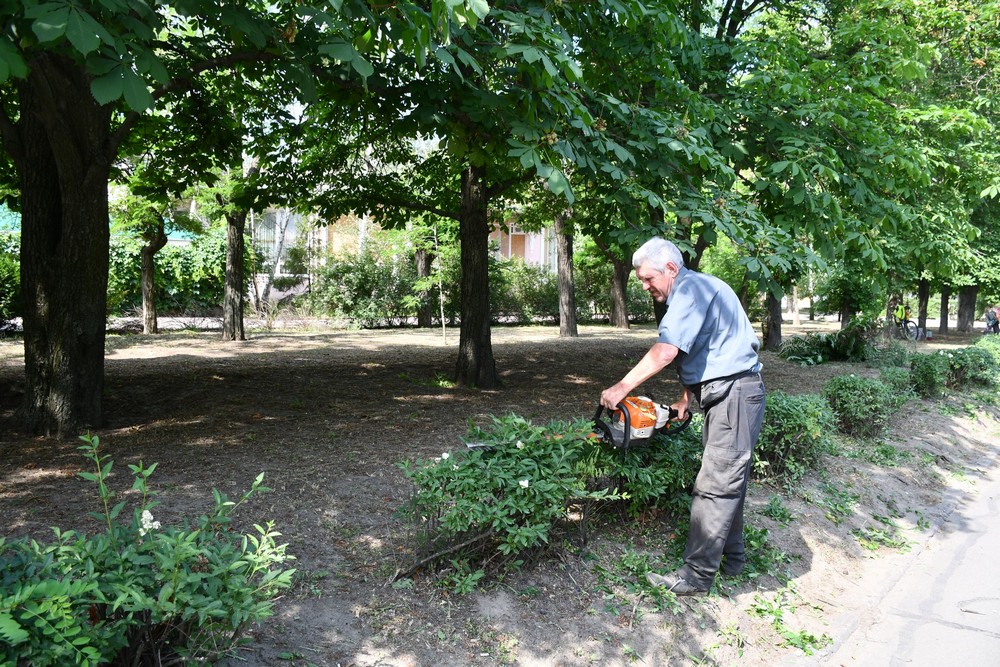 кущі