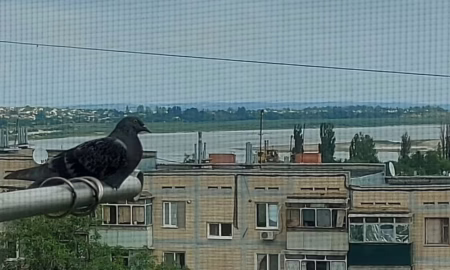 Хмарно, сильний вітер і можливий дощ: погода у Нікополі 19 червня