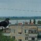 Хмарно, сильний вітер і можливий дощ: погода у Нікополі 19 червня