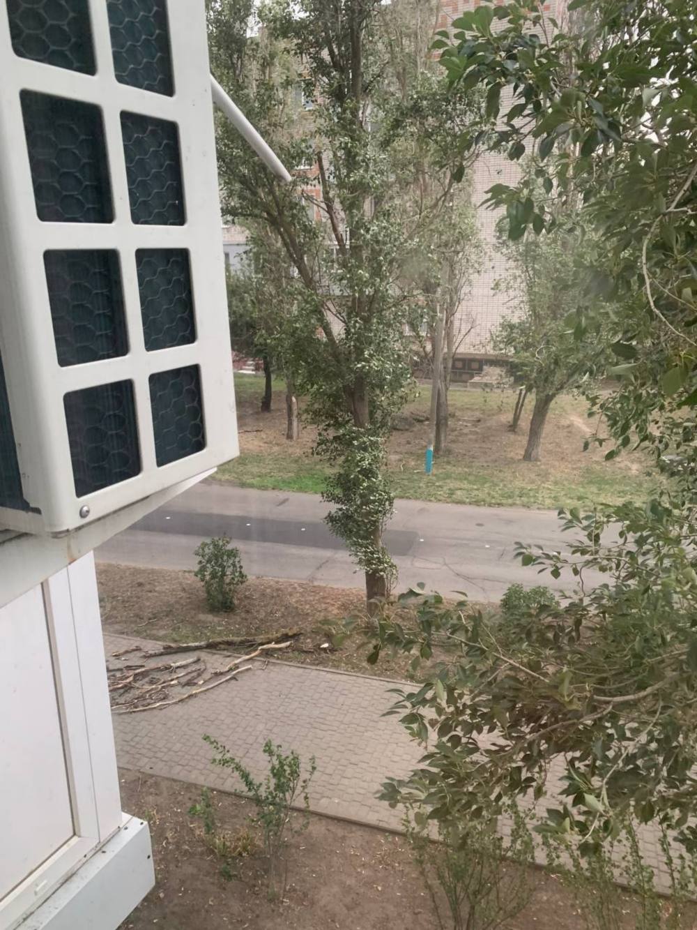 photo 2025 06 24 17 39 33