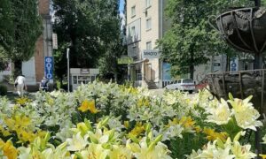 погода у Нікополі 30 червня