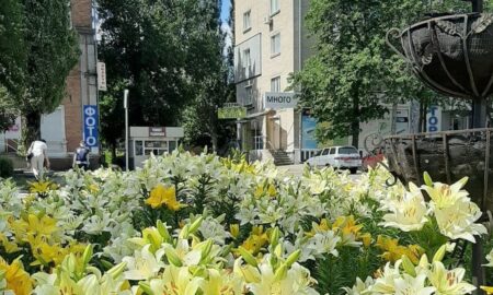 погода у Нікополі 30 червня