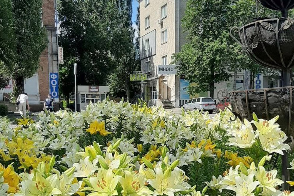 погода у Нікополі 30 червня