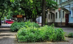 погода у Нікополі 4 червня