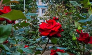 погода у Нікополі 5 червня 2