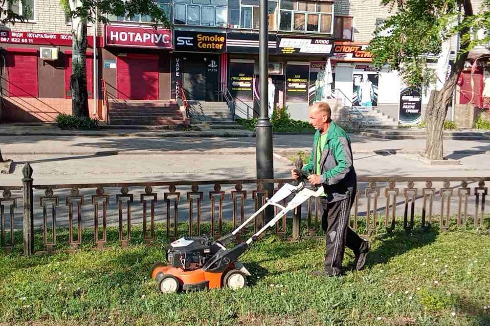 трава 1