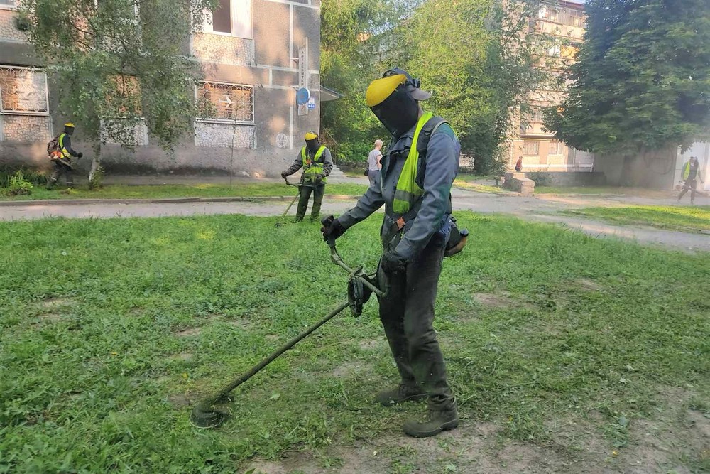 трава 2