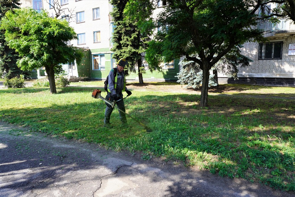 трава