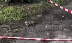 у Нікополі
