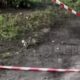 у Нікополі