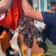у Нікополі сьогодні волонтери надавали допомогу постраждалим (фото) 4