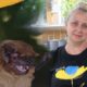 «Дикі, великі, клацають зубами, справжні монстри»: мешканка Нікополя рятує кажанів