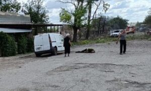 Смертельний удар по Гуляйполю на Дніпропетровщині 1 липня: з’явилися фото наслідків