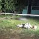 Кинув гранату в натовп людей на Дніпропетровщині: є загибла, а серед постраждалих дитина