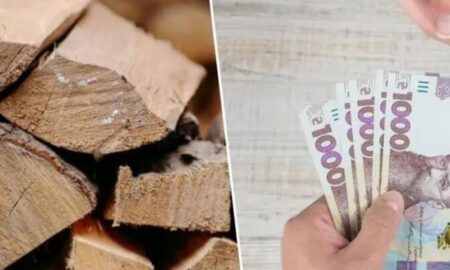 У Покровській громаді продовжили реєстрацію на отримання грошової допомоги на придбання палива 23 У Покровській громаді продовжили реєстрацію на отримання грошової допомоги на придбання палива