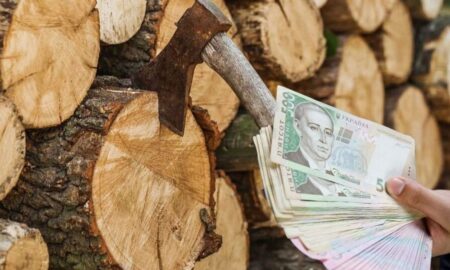 Анонсували реєстрацію на грошову допомогу для деяких мешканців Привільного