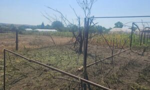Люди прокидалися не від будильників, а від гулу снарядів: про черговий обстріл Нікопольщини розповіла «Проліска» (фото)