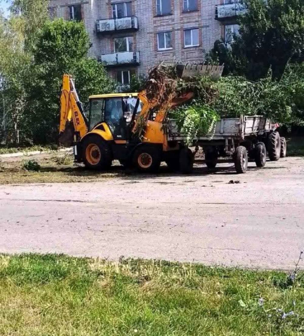 У селі біля Нікополя комунальники провели роботи з благоустрою території (фото) 2