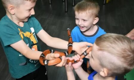 «І яка б важка не була ніч у Нікополі, і які б тортури не готував день, тут діти посміхаються» - як проходять канікули в безпечних освітніх просторах 31 «І яка б важка не була ніч у Нікополі, і які б тортури не готував день, тут діти посміхаються» - як проходять канікули в безпечних освітніх просторах