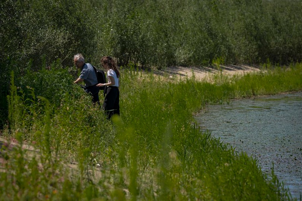 як змінюється природа на березі колишнього Каховського водосховища (відео) 4