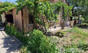 Ще одне вбивство на Нікопольщині: затримано 56-річного чоловіка