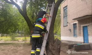 на Нікопольщині рятувальники зняли з дерева хлопця 2