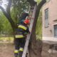 на Нікопольщині рятувальники зняли з дерева хлопця 2
