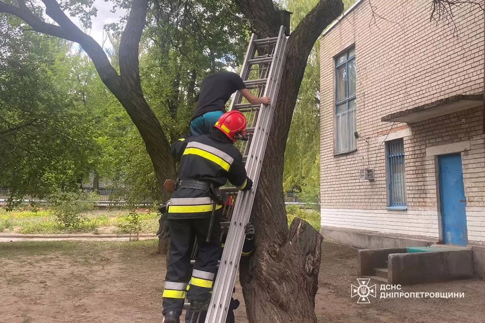 на Нікопольщині рятувальники зняли з дерева хлопця 2