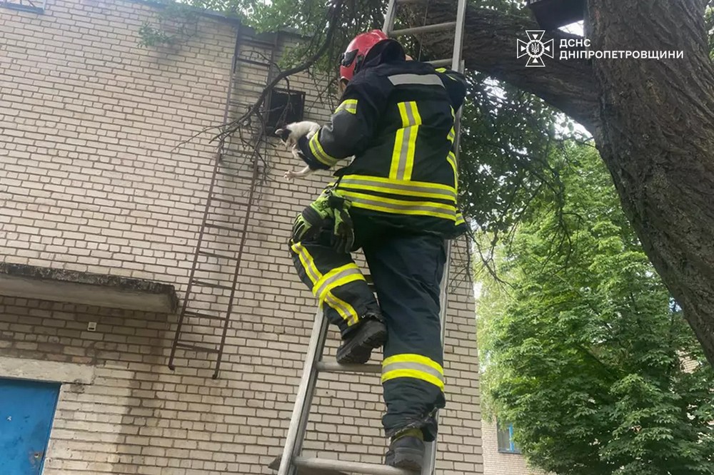на Нікопольщині рятувальники зняли з дерева хлопця 4