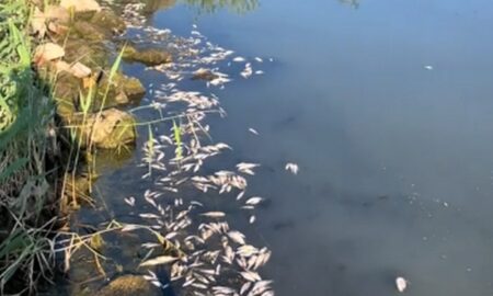 на Дніпропетровщині