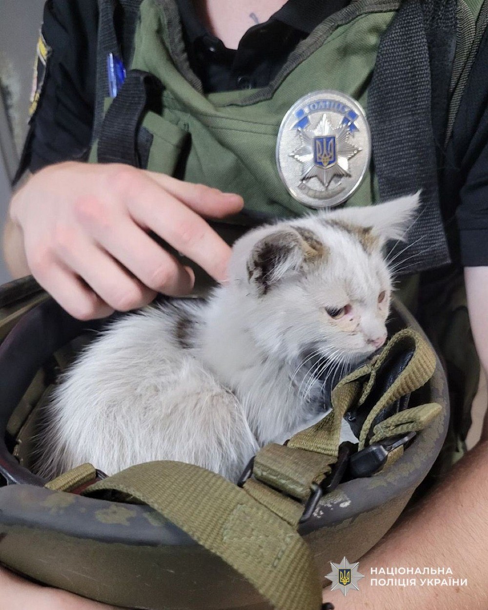 Кошеня дивом вижило під завалами після ворожої атаки у Кривому Розі: його врятувала поліцейська (фото)