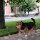 Спека триватиме, але є вірогідність невеличкого дощу: погода у Нікополі 12 липня