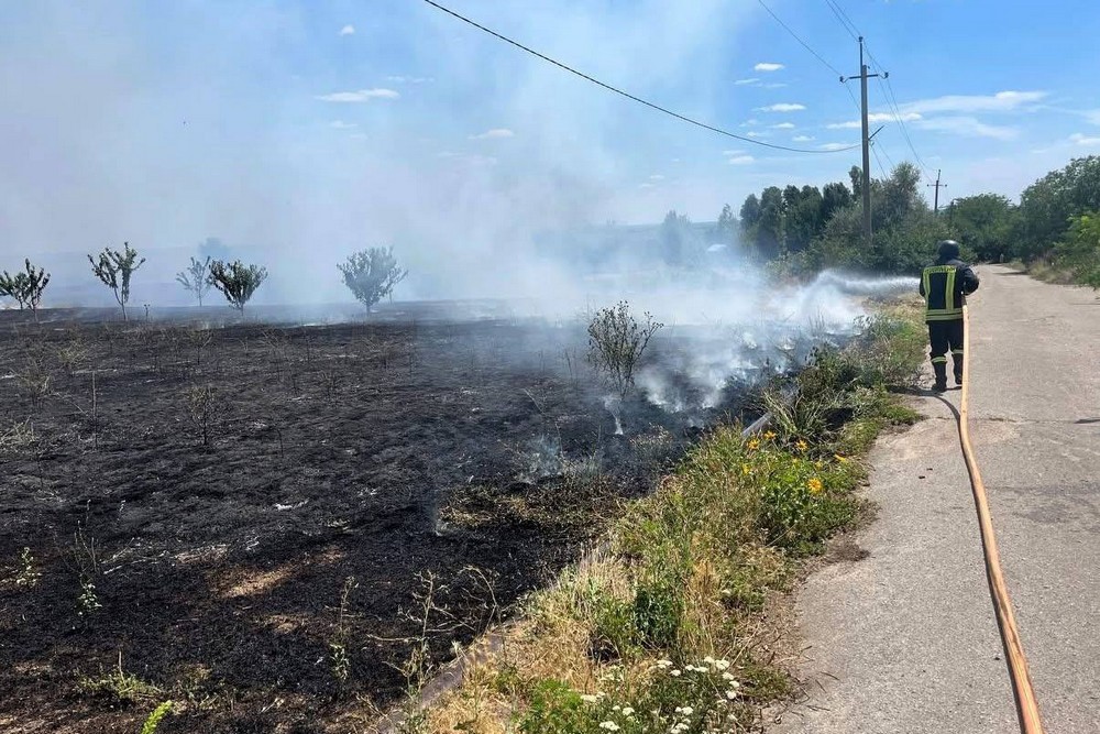 Масштабна пожежа на Нікопольщині сталася через недопалок (фото)