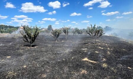 Масштабна пожежа на Нікопольщині сталася через недопалок (фото)