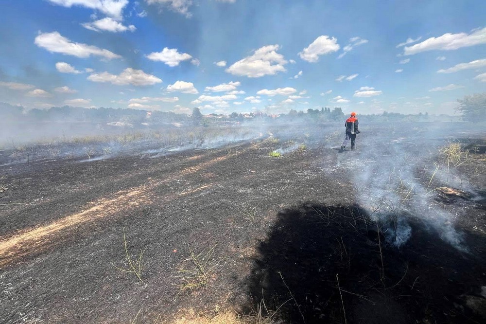 Масштабна пожежа на Нікопольщині сталася через недопалок (фото)