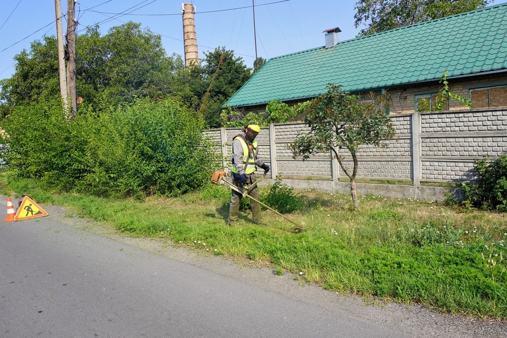 трава