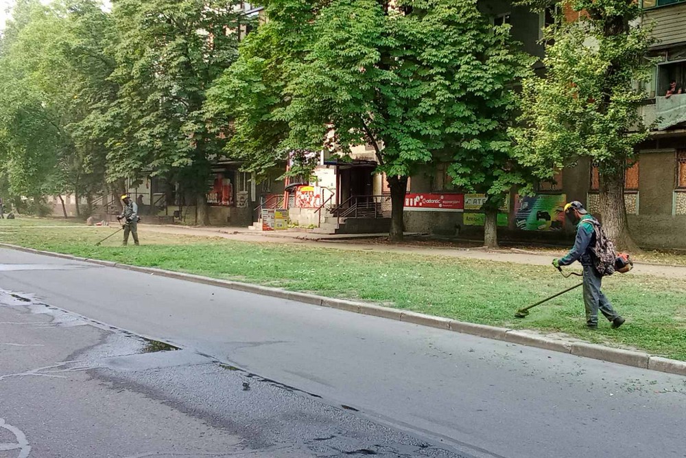 трава
