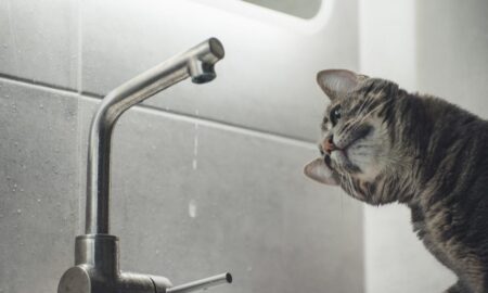Аварія: у Нікополі 4 липня відключили воду в одному з районів