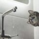 Аварія: у Нікополі 4 липня відключили воду в одному з районів