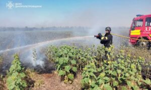 Горить врожай: на Дніпропетровщині за добу ліквідували 23 пожежі в екосистемах