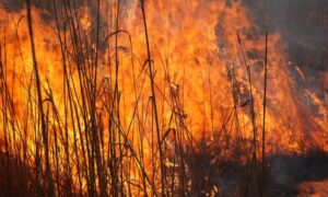 На Нікопольщині масштабна пожежа: горить сміттєзвалище