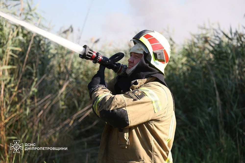 Горіли сміття та суха рослинність: на Дніпропетровщині вогонь знищив понад 55 га екосистем за добу