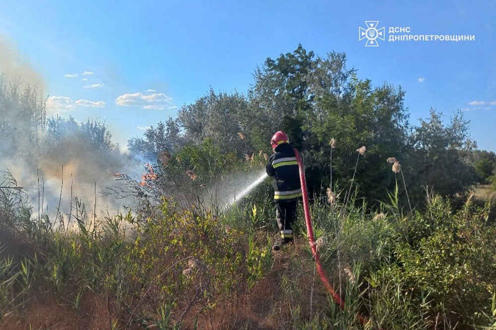 Горіли сміття та суха рослинність: на Дніпропетровщині вогонь знищив понад 55 га екосистем за добу