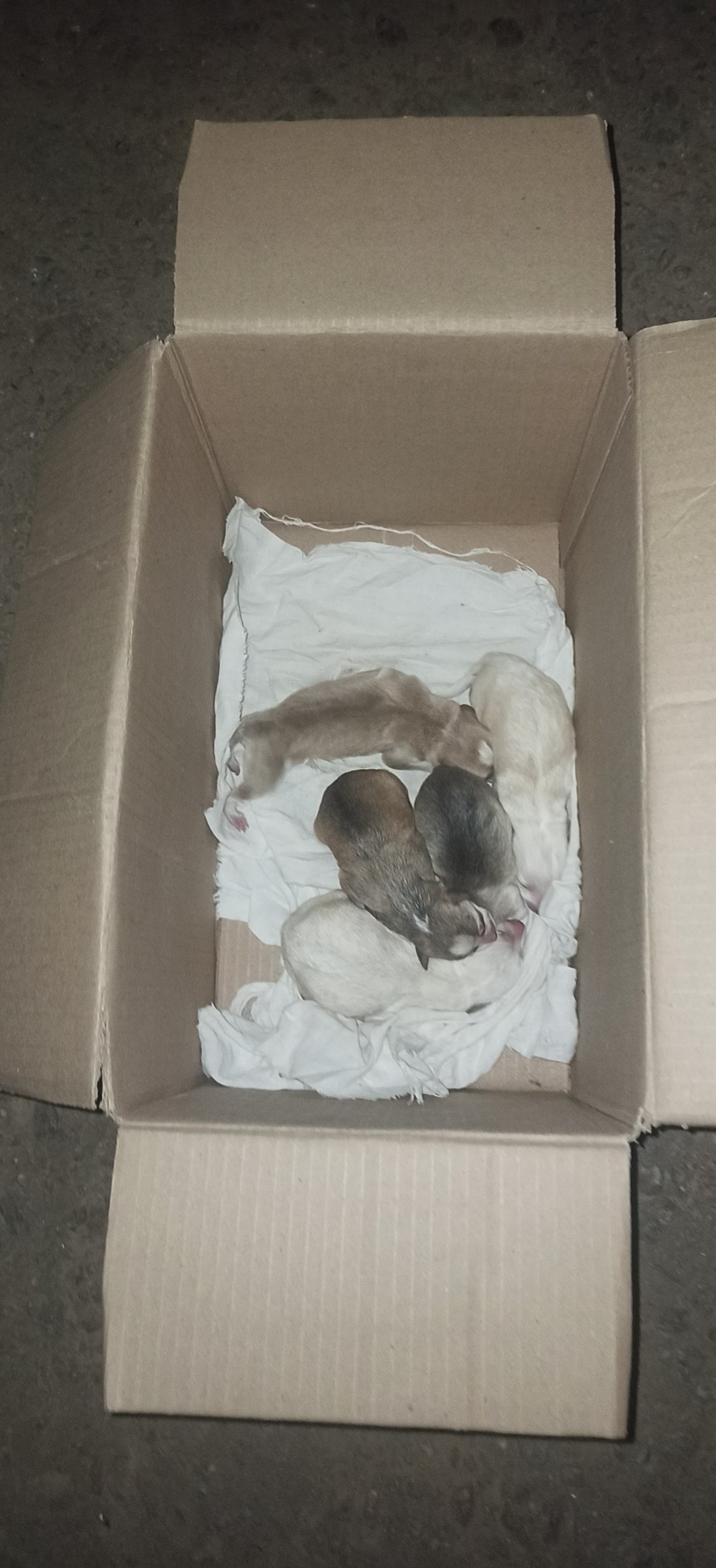 Під ударом промислове підприємство і будинки: Нікополь і район здригалися від вибухів вдень 2 серпня (фото)
