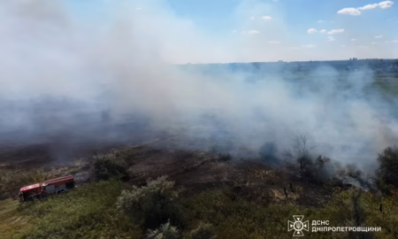 Горіли сміття та суха рослинність: на Дніпропетровщині вогонь знищив понад 55 га екосистем за добу