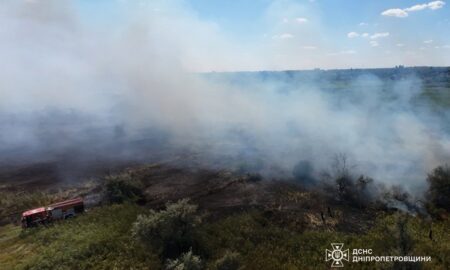 Горіли сміття та суха рослинність: на Дніпропетровщині вогонь знищив понад 55 га екосистем за добу