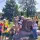 Ще 30 дітей з Нікополя оздоровилися в таборах на заході України (фото)