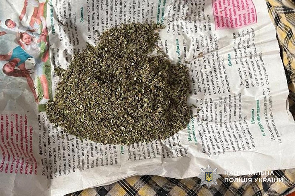 56 річний житель Покрова виростив понад 100 кущів конопель 2