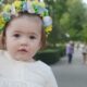 Було яблуку ніде упасти: як відзначили День Незалежності у Покрові у 2025 році